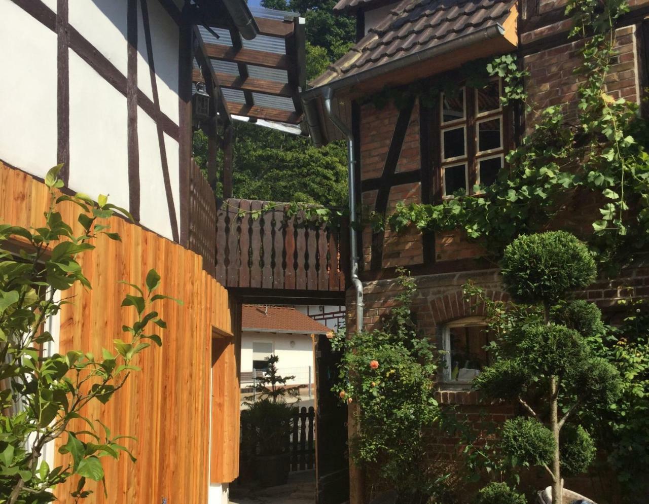 Ferienwohnung Kleiner Kalle Melsungen Exteriör bild