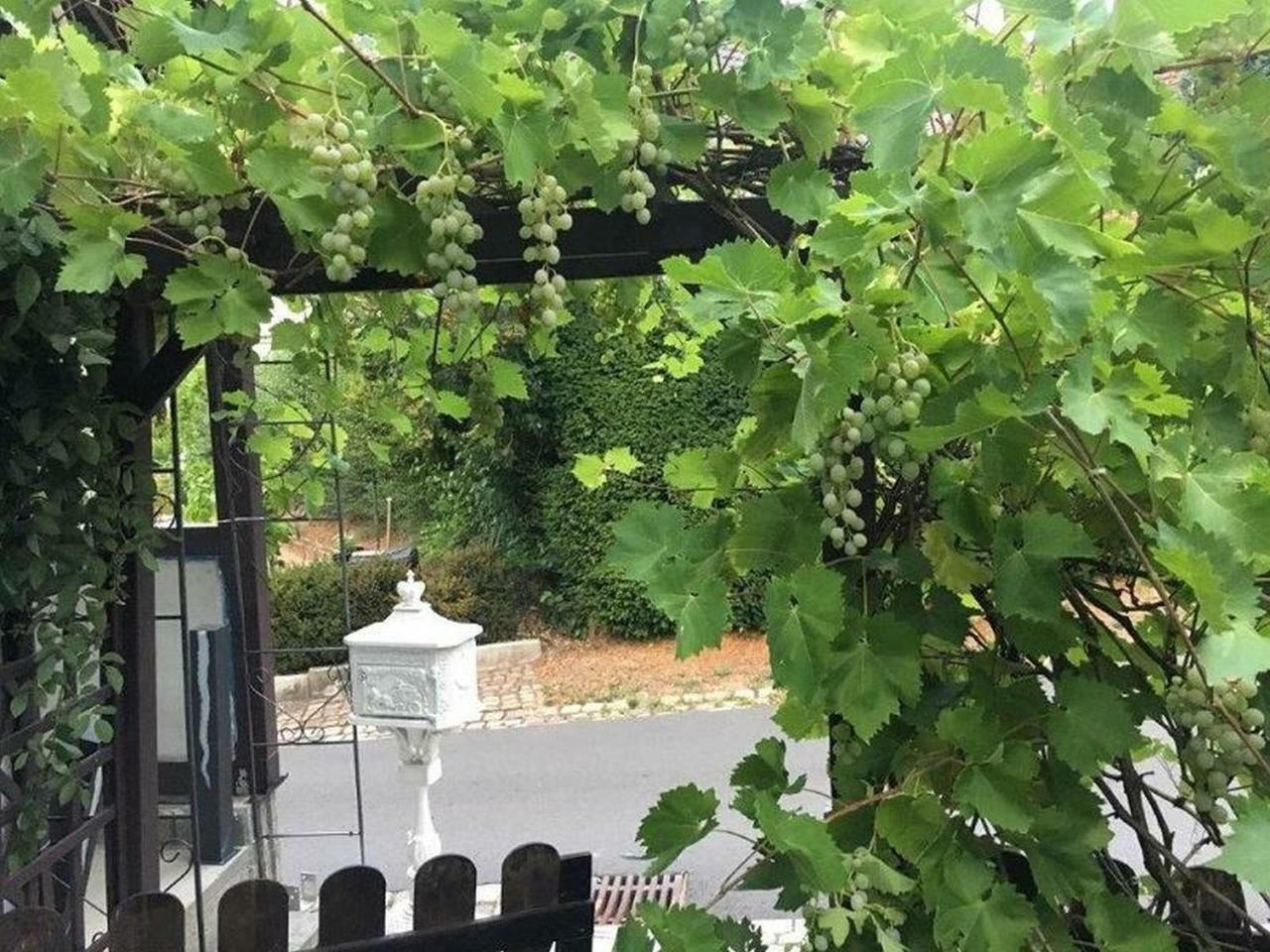 Ferienwohnung Kleiner Kalle Melsungen Exteriör bild